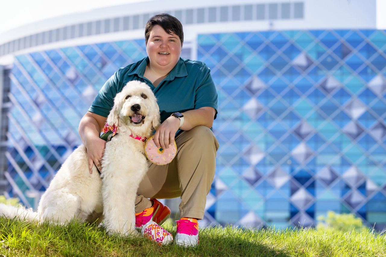 Dog safety hospital dog