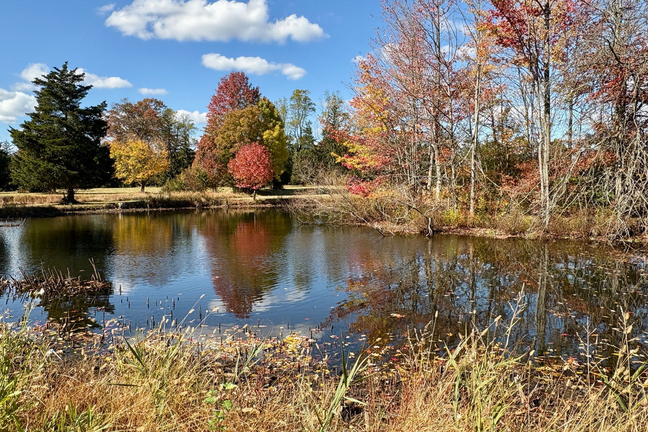 Nemours Estate Family Fridays