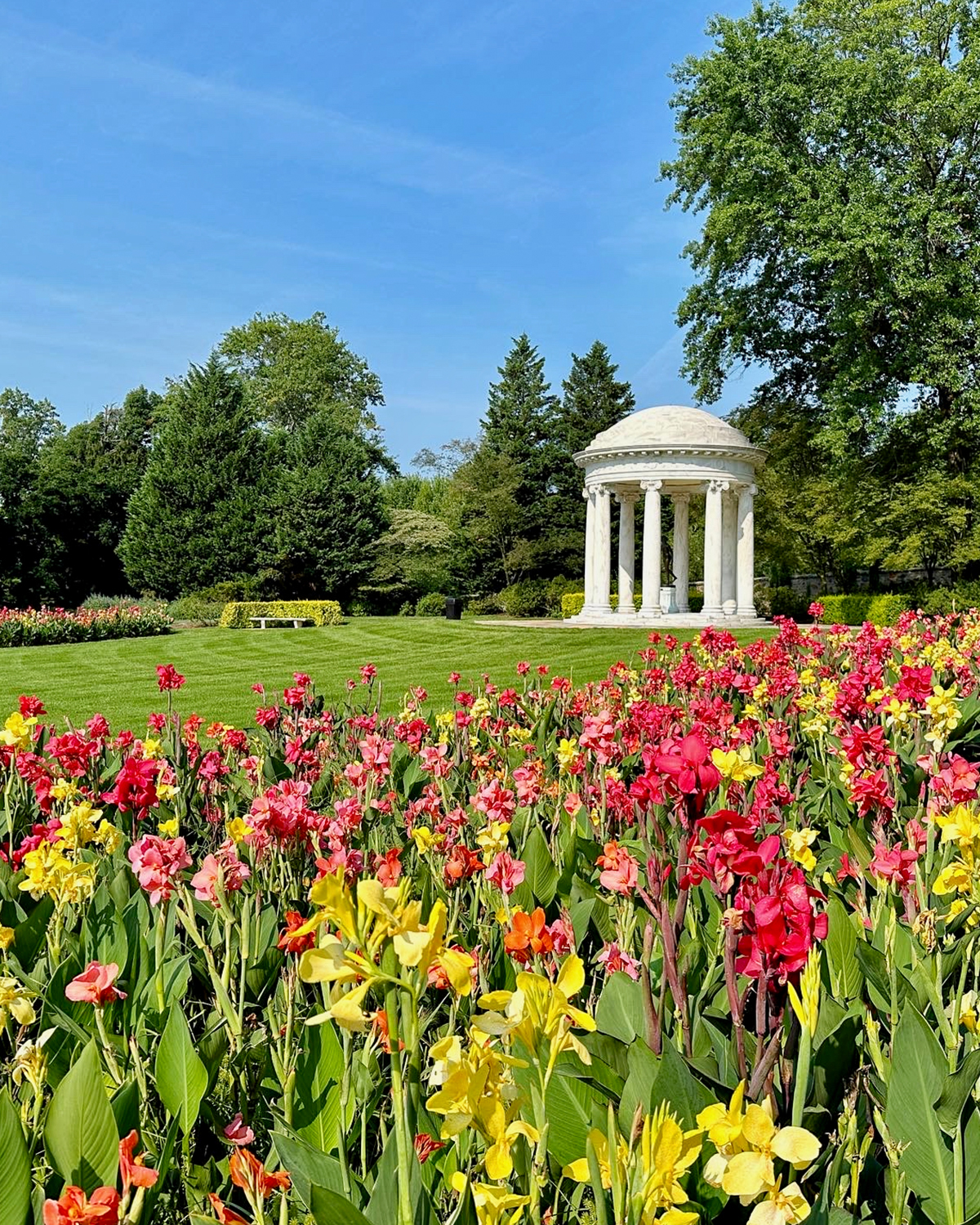 A close-up view of yellow, pink and red flowers in bloom in the Gardens with the woodlands in the background. 