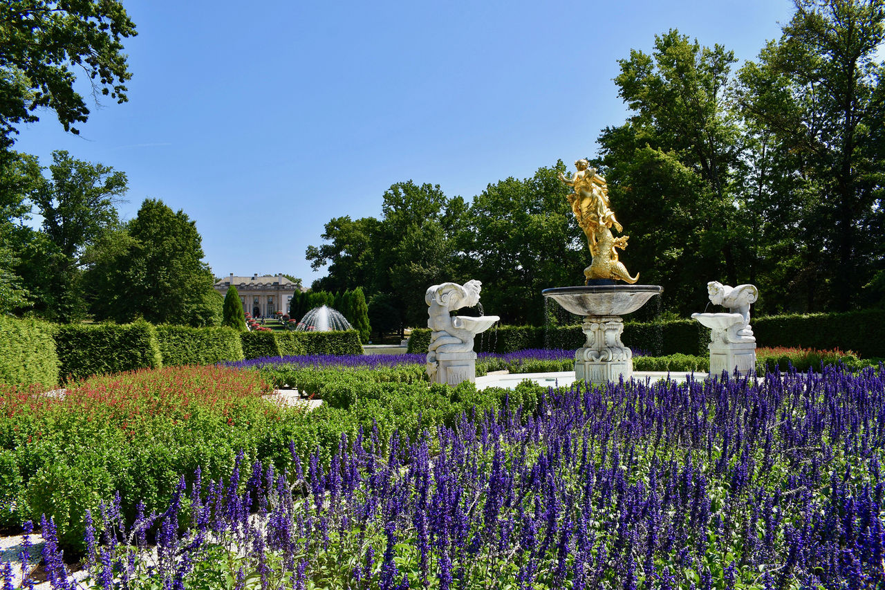 Purple flowers bloom all around a gold leaf statue with a stone building in the background.