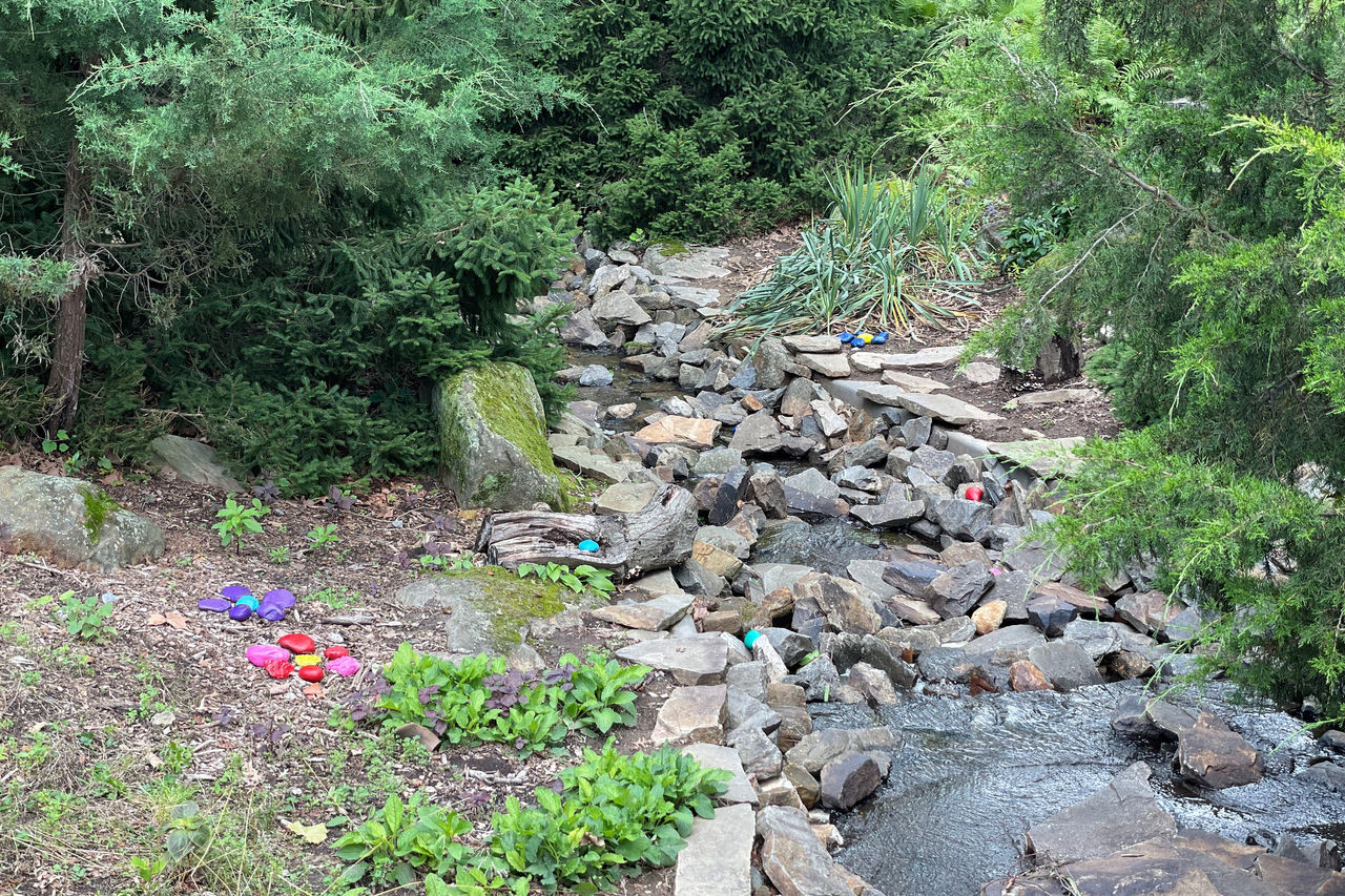 The Nemours Estate rock garden