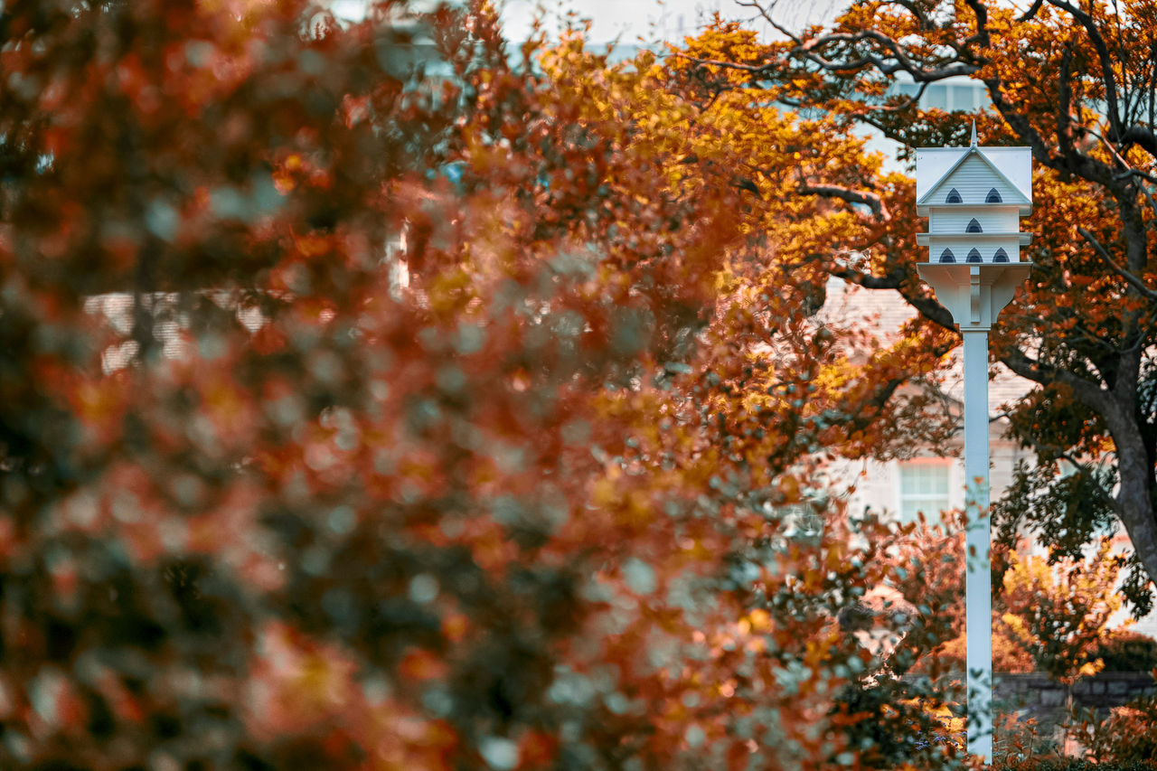 Trees and leaves in fall at the Nemours Estate.