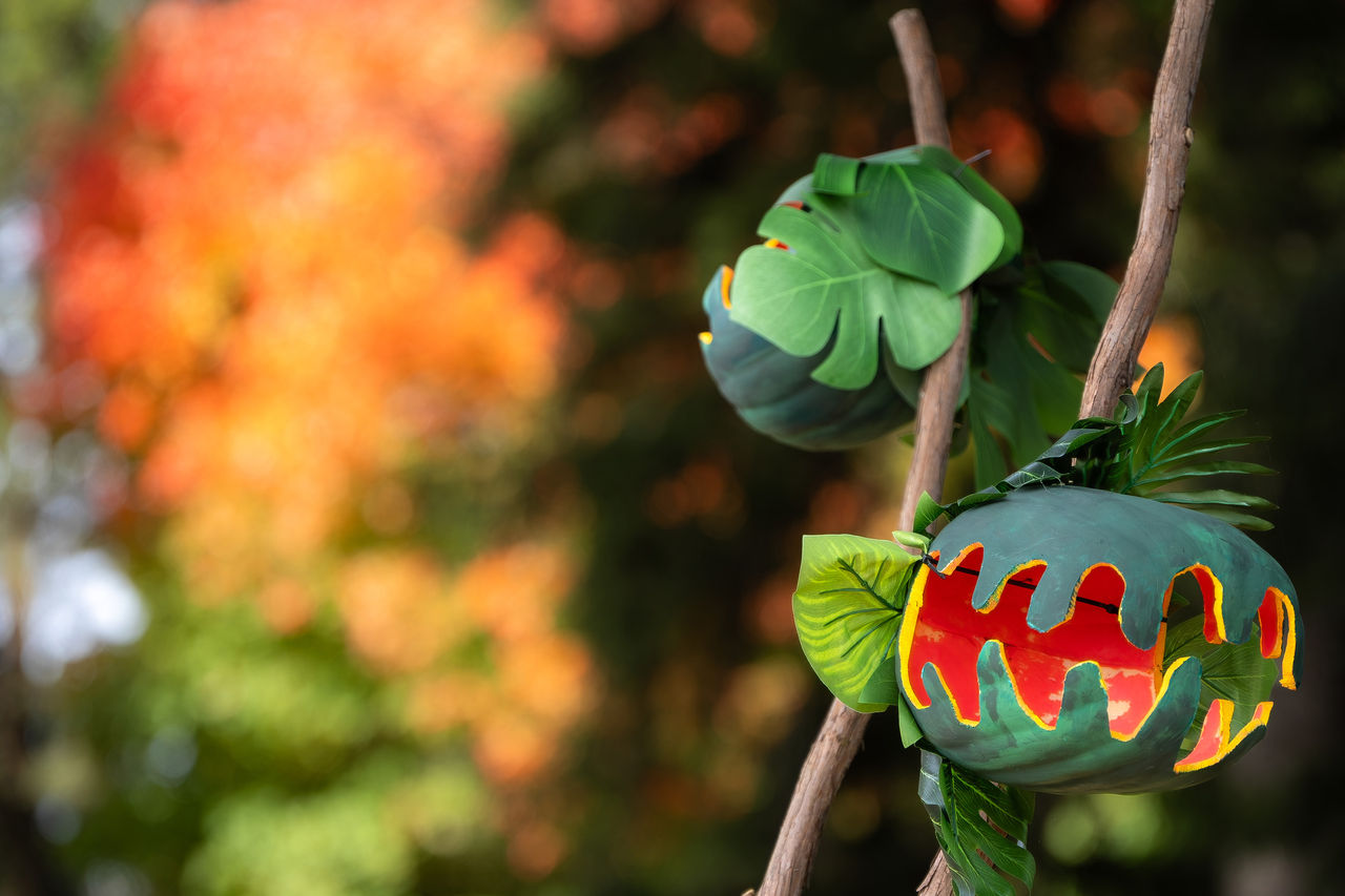 Halloween flora at the Nemours Estate. 