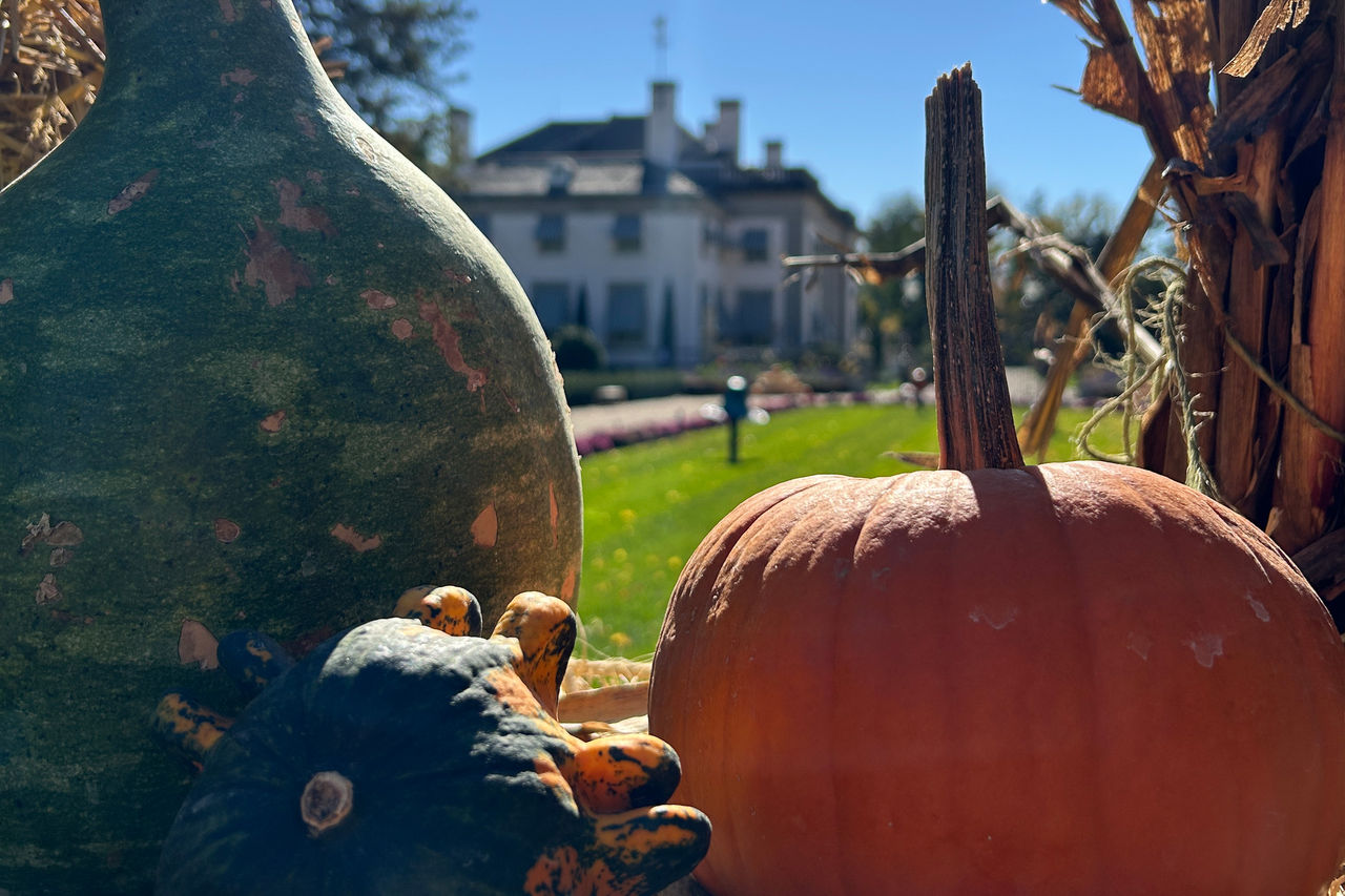 Mansion peaking out from behind some gourds.