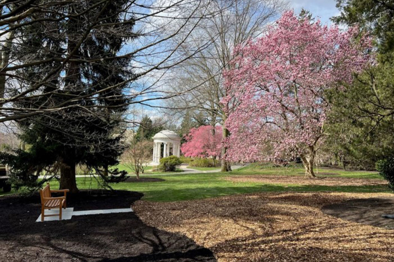 Scenic bench at the Nemours Estate.