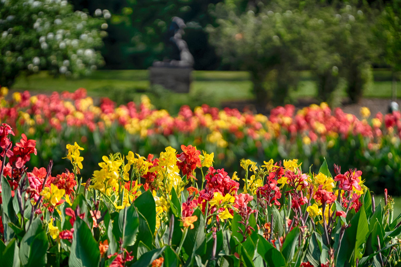 Professional photograph of flowers on the Nemours Estate..